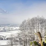 Sunnseitn Enzian Und Spieljoch *