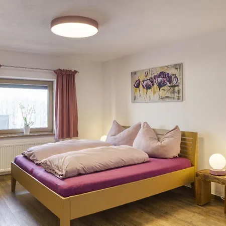 Sunnseitn Enzian Und Spieljoch *