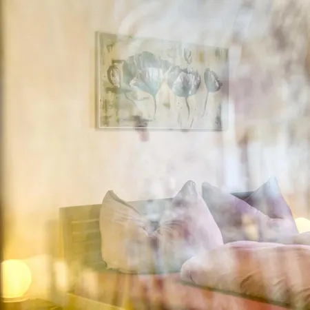 Sunnseitn Enzian Und Spieljoch * Bruck am Ziller