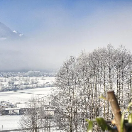 Sunnseitn Enzian Und Spieljoch *