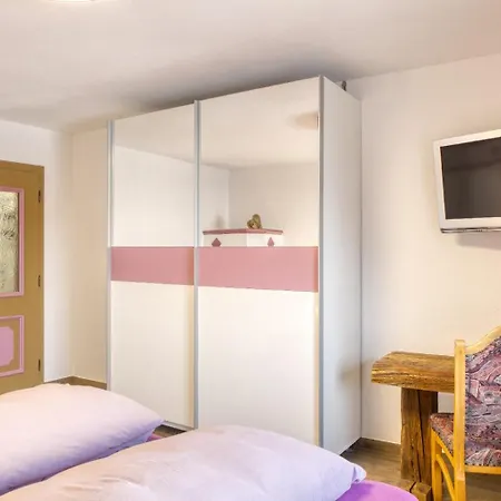 Sunnseitn Enzian Und Spieljoch * Bruck am Ziller